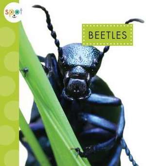 Beetles de Nessa Black