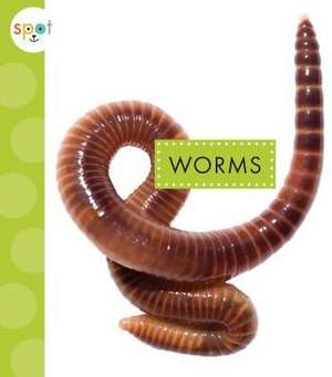 Worms de Nessa Black