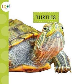 Turtles de Mari C. Schuh