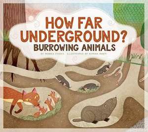 How Far Underground? de Monika Davies
