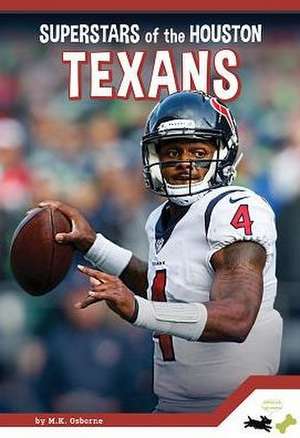 Superstars of the Houston Texans de Allan Morey