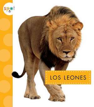 Los Leones de Mary Ellen Klukow