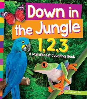 Down in the Jungle 1,2,3: A Rain Forest Counting Book de Tracey E. Dils