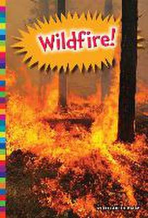 Wildfire! de Elizabeth Raum