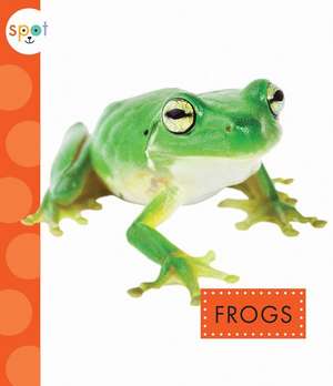 Frogs de Storm, Marysa