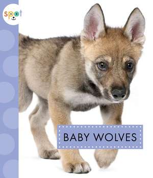 Baby Wolves de K. C. Kelley