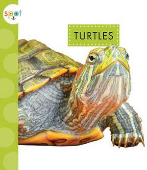 Turtles de Mari C. Schuh