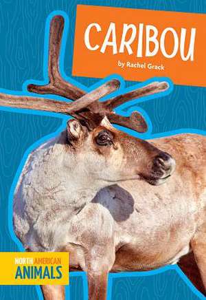 Caribou de Rachel Grack