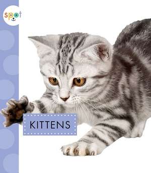 Kittens de Anastasia Suen