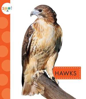 Hawks de Mari C. Schuh