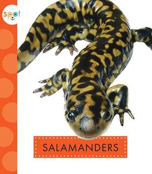 Salamanders de Mari C. Schuh