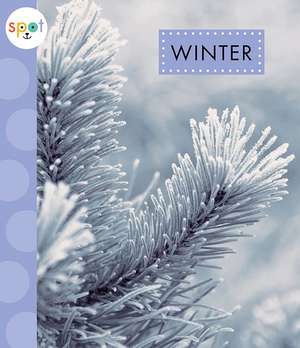 Winter de Mari C. Schuh