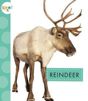 Reindeer de Anastasia Suen