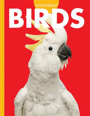 Curious about Birds de Jill Sherman