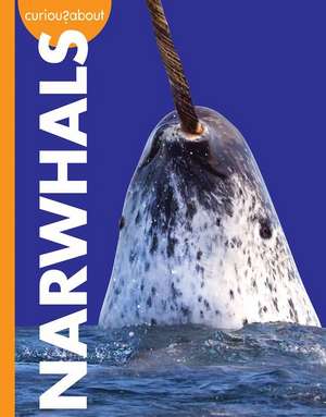 Curious about Narwhals de Annie C Holdren