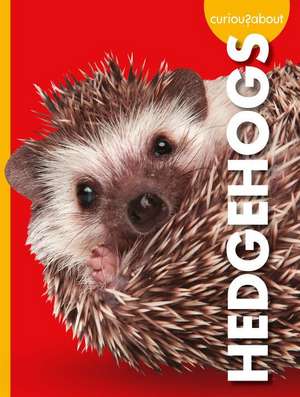 Curious about Hedgehogs de Alissa Thielges