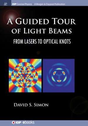 A Guided Tour of Light Beams de David S. Simon