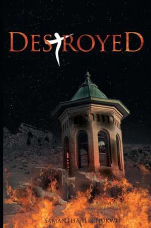 Destroyed de Samantha Ilechukwu