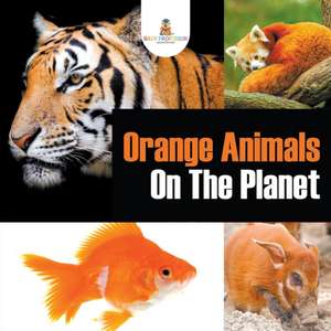 Orange Animals On The Planet de Baby