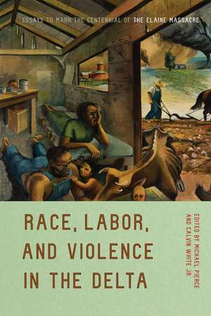 Race, Labor, and Violence in the Delta: Essays to Mark the Centennial of the Elaine Massacre de Michael Pierce