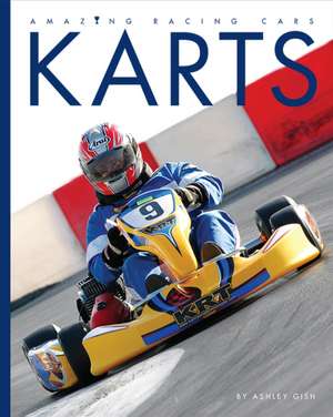 Amazing Racing Cars: Karts de Ashley Gish