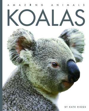 Koalas de Valerie Bodden