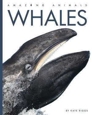 Whales de Kate Riggs