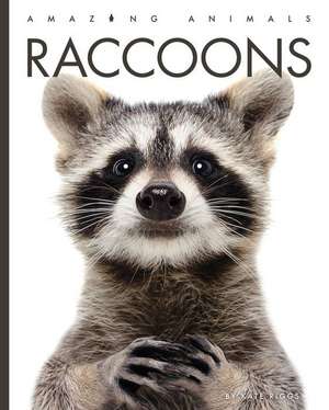 Raccoons de Kate Riggs