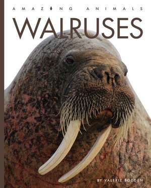 Walruses de Valerie Bodden