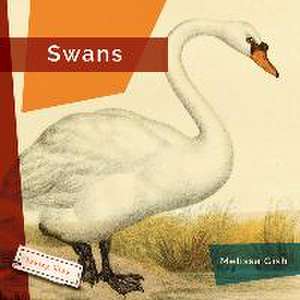 Swans de Nicole Helget