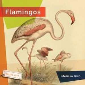 Flamingos de Melissa Gish