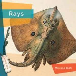 Rays de Melissa Gish