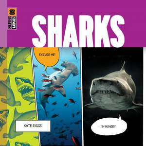 Sharks de Kate Riggs