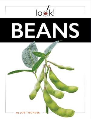 Beans de Joe Tischler