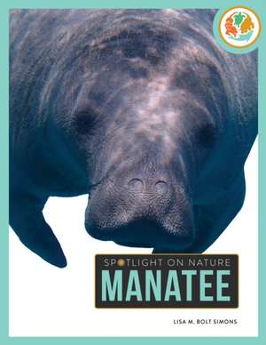 Manatee de Lisa M Bolt Simons