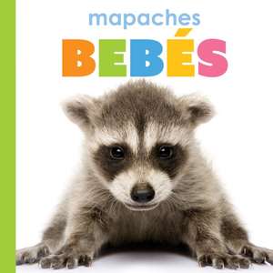 Mapaches Bebés de Kim Thompson