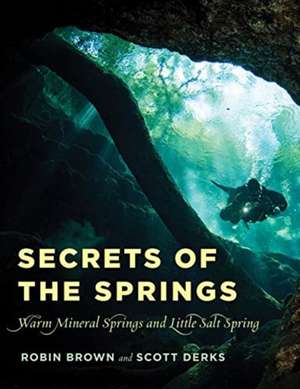 SECRETS OF THE SPRINGSWARM MIPB de Scott Derks