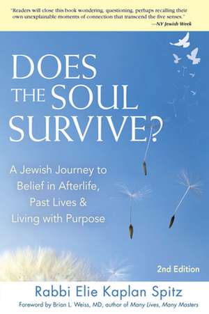 Does the Soul Survive? 2/E de Elie Kaplan Spitz