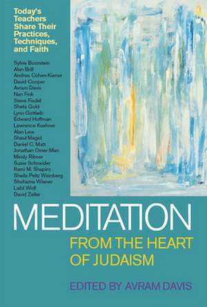 Meditation from the Heart of Judaism de Avram Davis