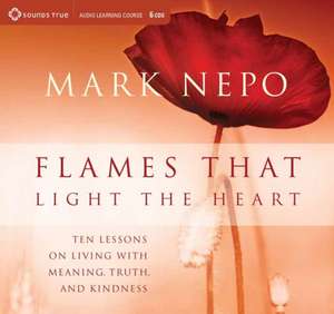 Flames That Light the Heart de Mark Nepo