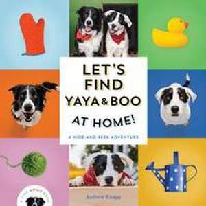 Let's Find Yaya and Boo at Home! de Andrew Knapp