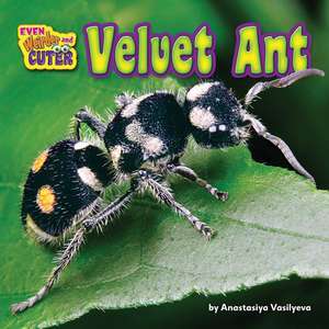 Velvet Ant de Anastasiya Vasilyeva