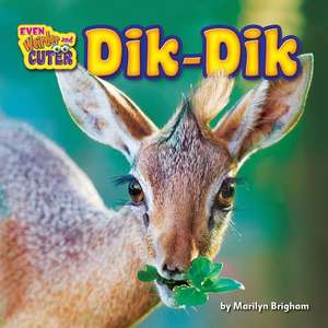 Dik-Dik de Marilyn Brigham