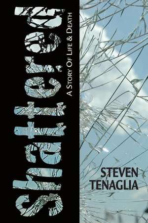 Shattered de Steven Tenagiia