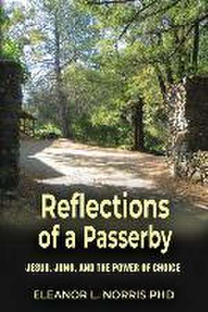 Reflections of a Passerby de Eleanor L. Norris