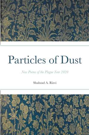 Particles of Dust de Shahzad Rizvi