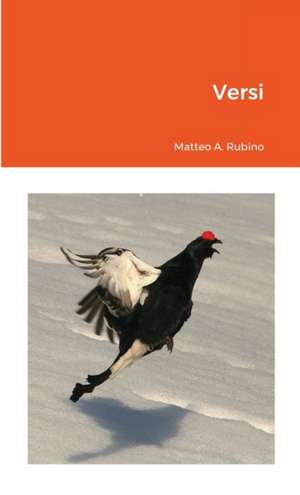 Versi de Matteo Antonio Rubino