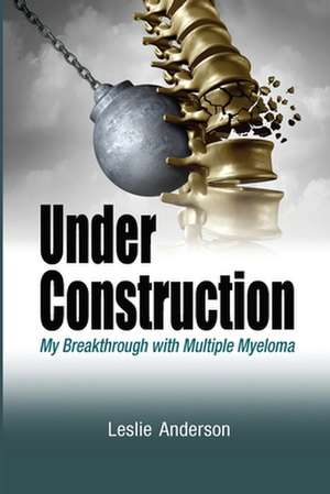 Under Construction de Leslie Anderson