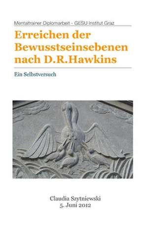 Erreichen Der Bewusstseinsebenen Nach D.R.Hawkins: Ein Selbstversuch de Claudia Szytniewski