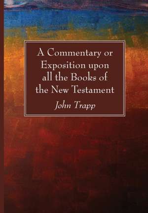 A Commentary or Exposition upon all the Books of the New Testament de John Trapp